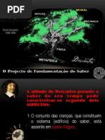 O Projecto de Fundamentação do saber