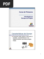 Primavera P6 - Introdução ao Escopo
