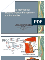 01-embriologanormaldelsistemagenitalfemeninoysusanomalas-100514105634-phpapp02