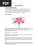 Grade 7 Science Worksheet - 060359 | PDF