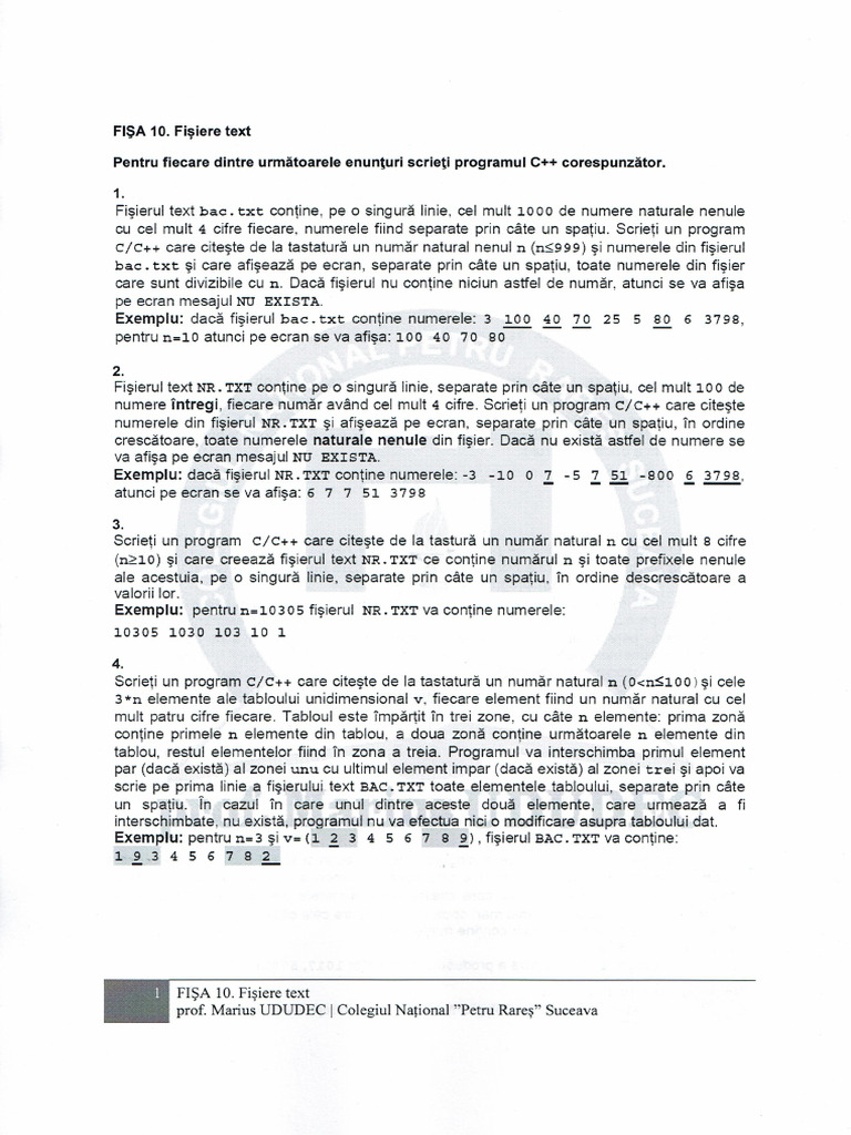Fisa 10 Fisiere Text | PDF