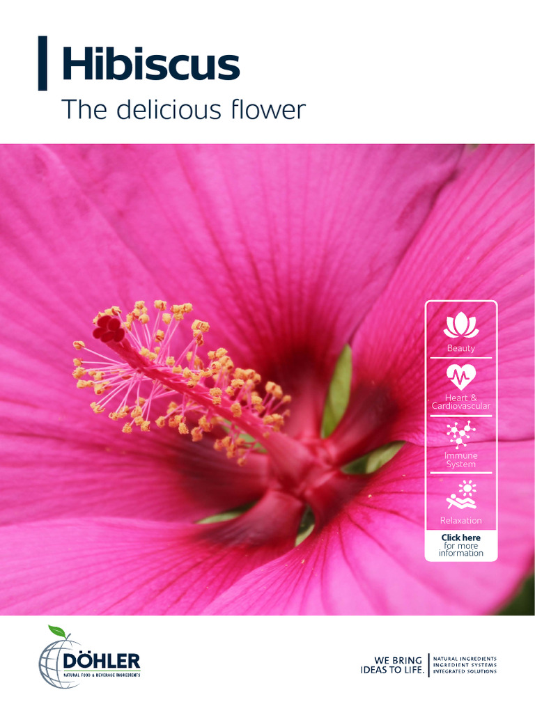 WP305 Doehler HealthIngredients Hibiscus | PDF | Leaf