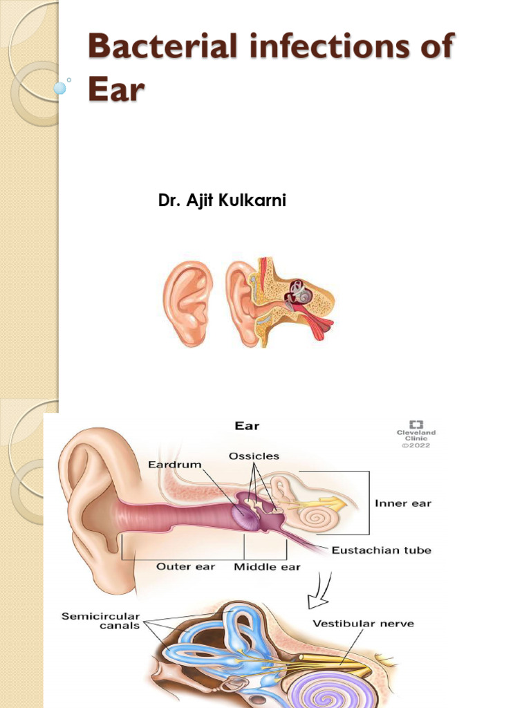 Bacterial Infections of Ear | PDF | Ear | Vertigo