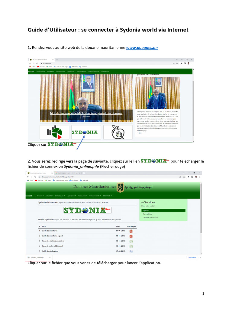 Connexion à Sydonia World en ligne | PDF