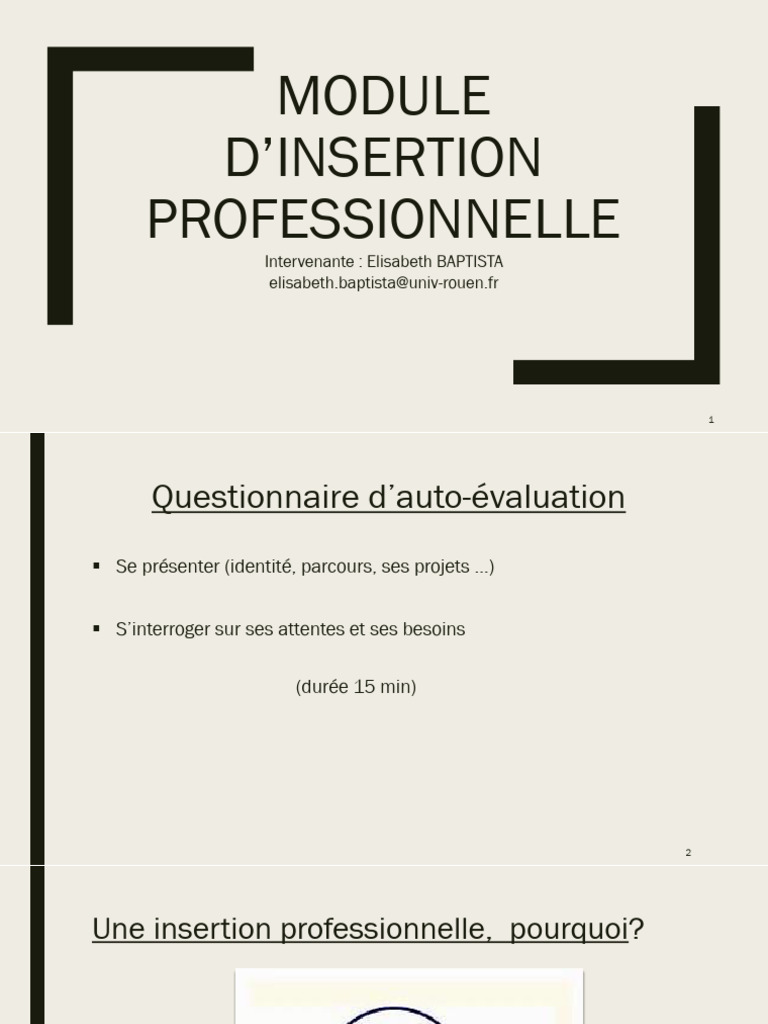 Rapport de stage en insertion professionnelle | PDF | Business | Expérience