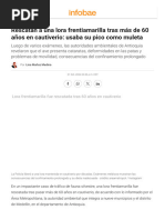 Rico Boost | PDF