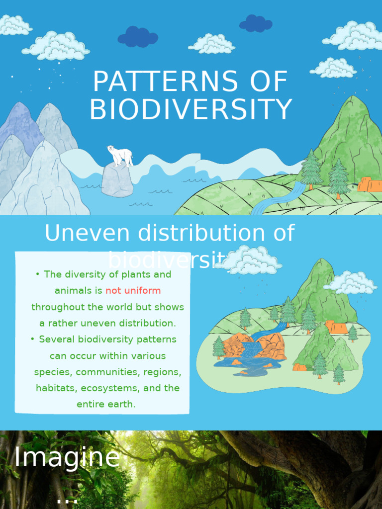 Patterns of Biodiversity Explained | PDF | Biodiversity | Tropics