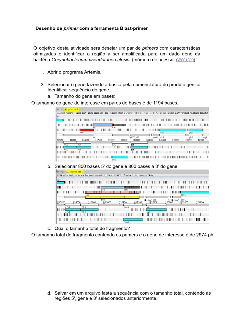 Desenho de Primer Com A Ferramenta Blast-Primer | PDF