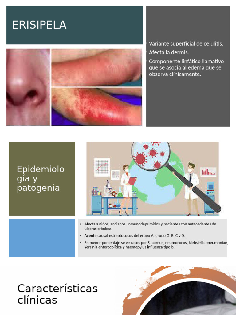 Erisipela | PDF | Piel | Medicina