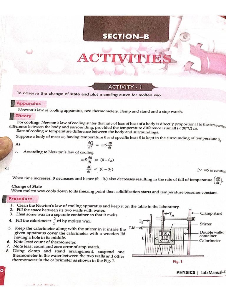 Section B Activity | PDF