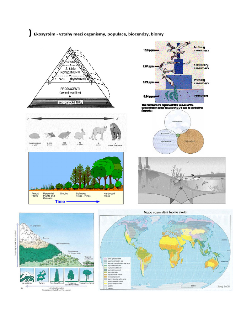 biomy | PDF