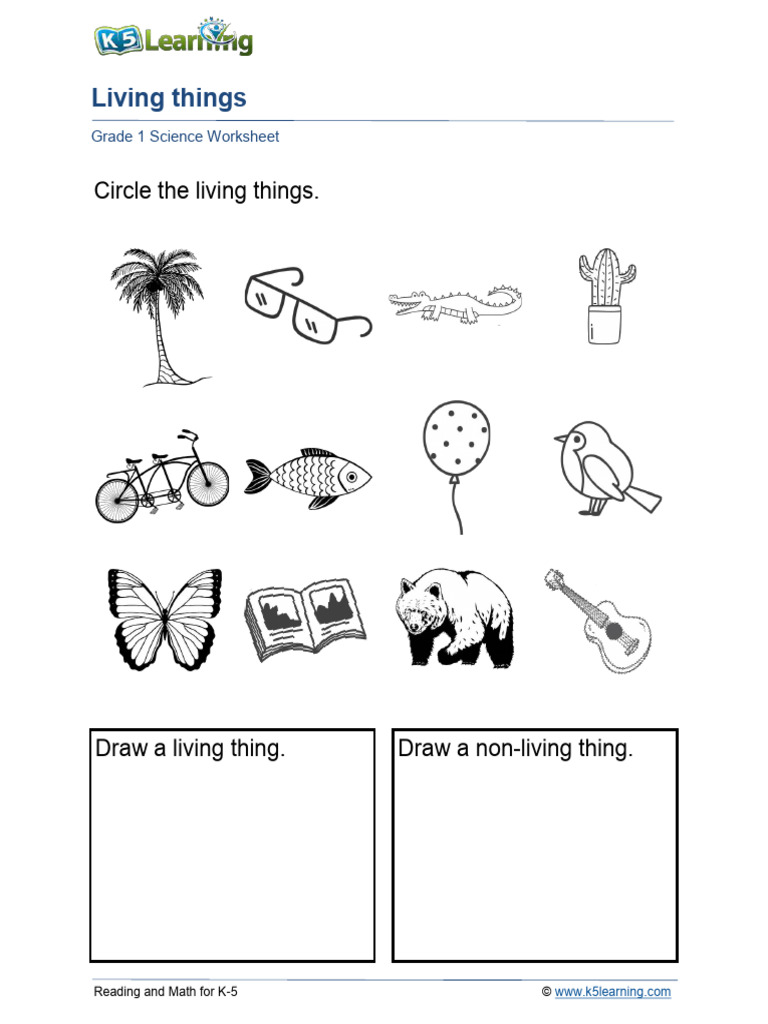 Grade 1 science worksheets | pdf | night | fruit