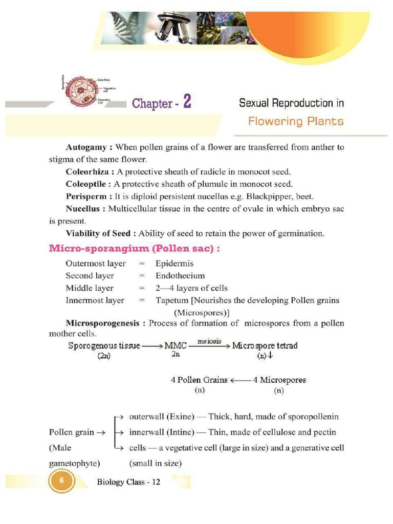 Chapter 2 - Sexual Reproduction in Flowering Plants | PDF