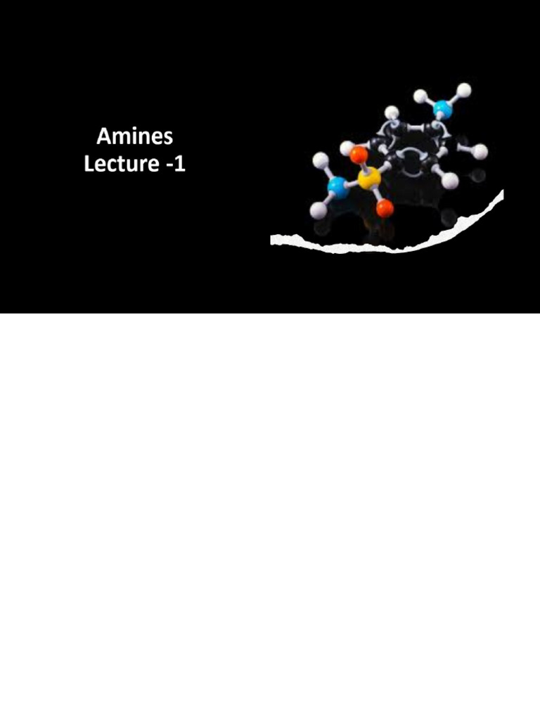 Amines Class12 | PDF