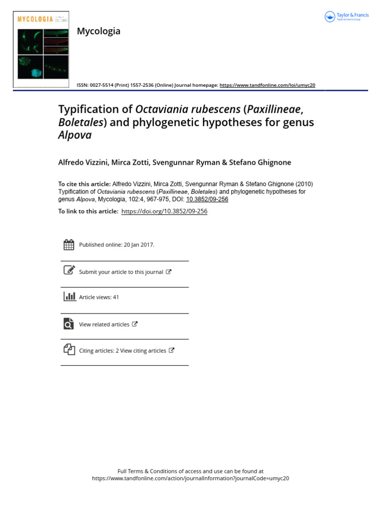 4.typification of Octaviania Rubescens (Paxillineae, Boletales) and ...