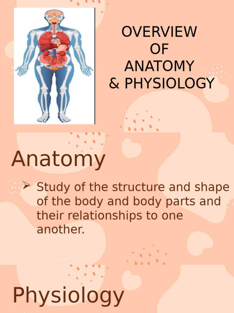 Anatomy and Physiology Overview | PDF | Cell (Biology) | Human Body