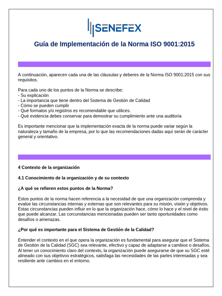 Muestra Guia de Implementacion de La Norma ISO 9001 | PDF | Sistema de ...