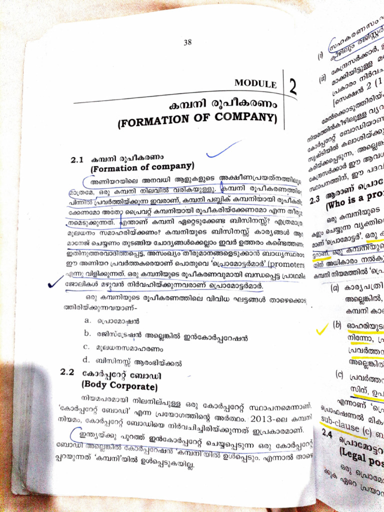 Company Formation Guide and Promoters | PDF
