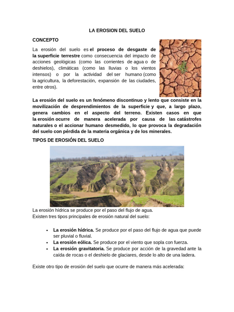 Erosión del Suelo: Causas y Consecuencias | PDF | Erosión | Suelo