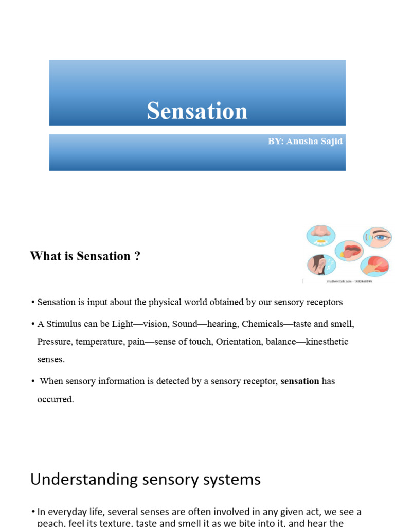 Lecture 4-5 Sensation and Perception | PDF | Senses | Perception