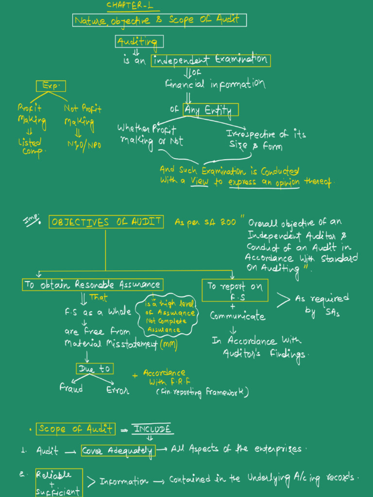 Audit Chapter 1 | PDF