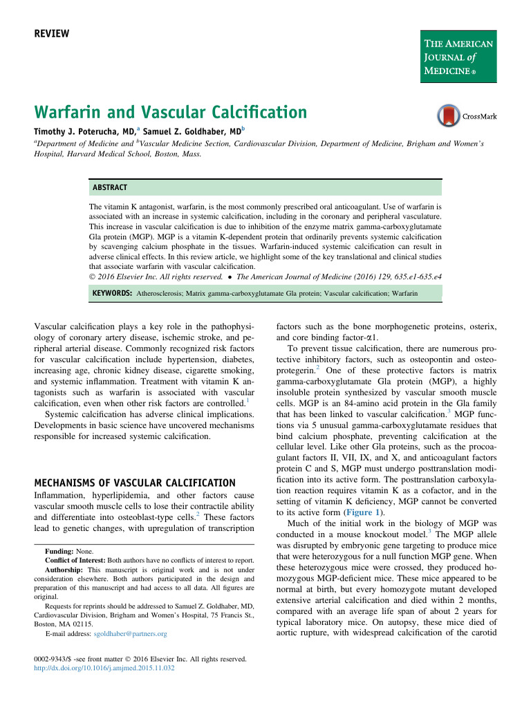Warfarin and Vascular Calcification | PDF | Osteoporosis | Aorta