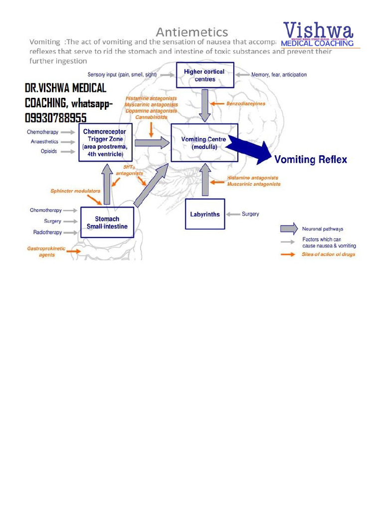 2e45da8f-eabc-489b-8e34-9f6479d5b812 | PDF