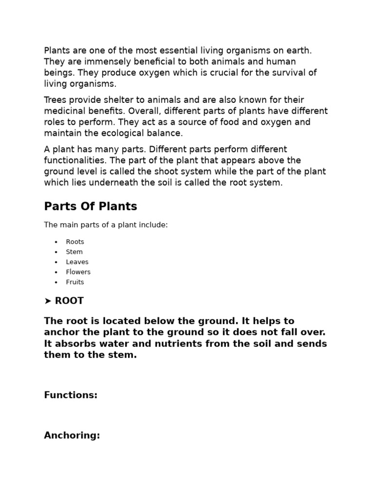 Essential Parts of Plants and Their Functions | PDF | Leaf | Plant Stem