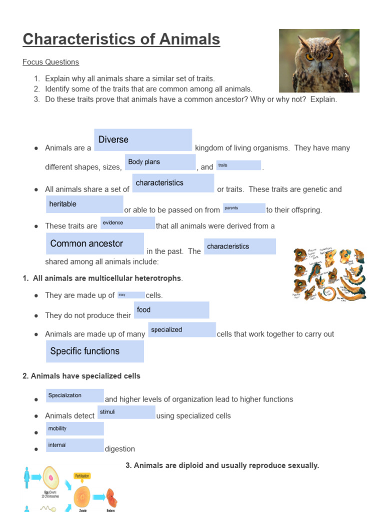 Common Traits of Animals Explained | PDF | Reproduction | Sexual ...
