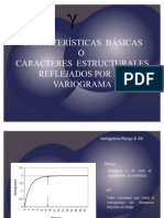 6 Caracteristicas Basicas Variograma