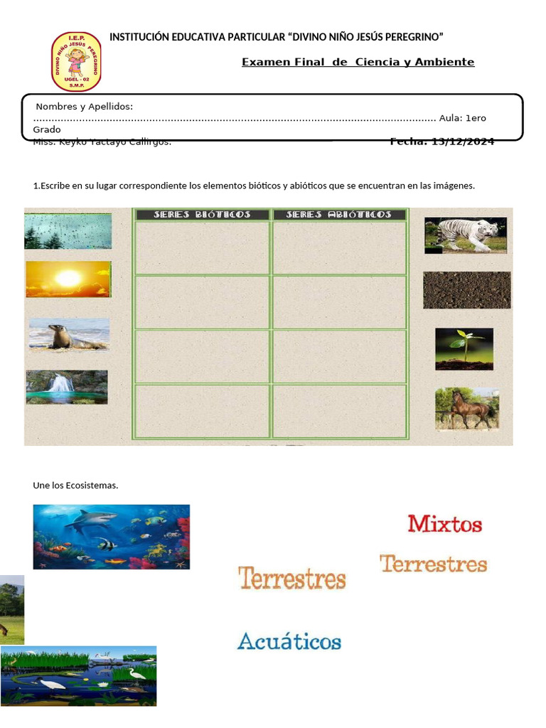 Examen Final de Ciencia y Ambiente | PDF