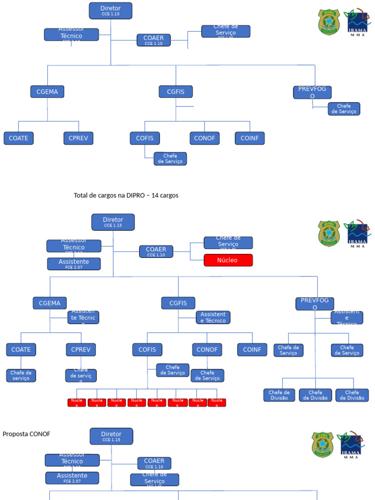 Modelos de Organogramas da DIPRO | PDF