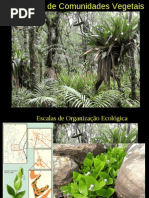 estruturacomunidade2010