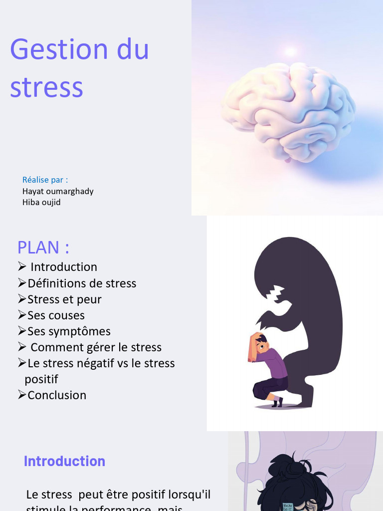 Gestion efficace du stress et ses impacts | PDF | Stress (Biologie ...