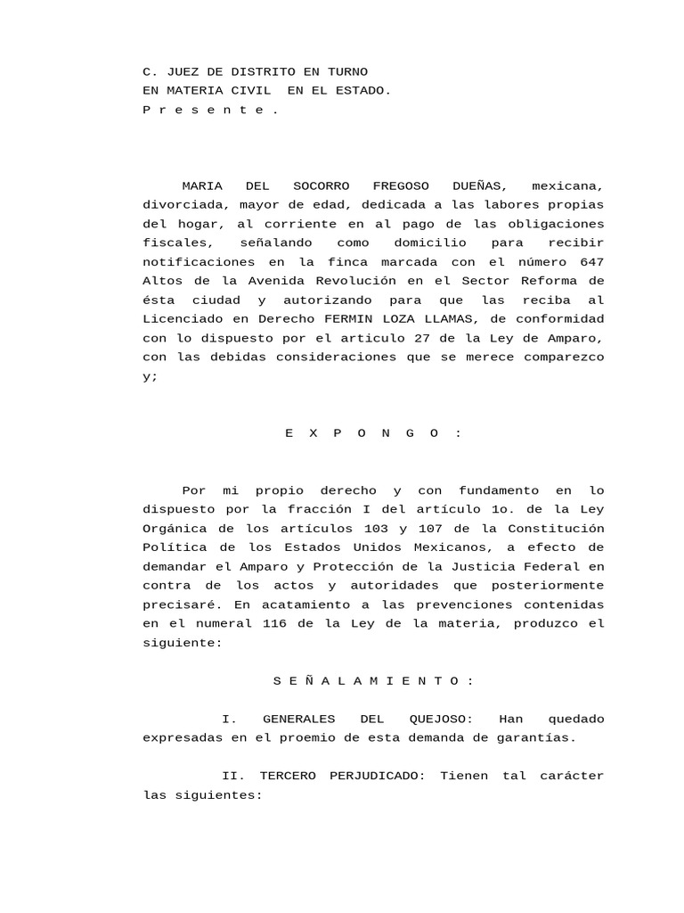 Demanda de Amparo en Juicio Civil | PDF | Sentencia (ley) | Caso de ley