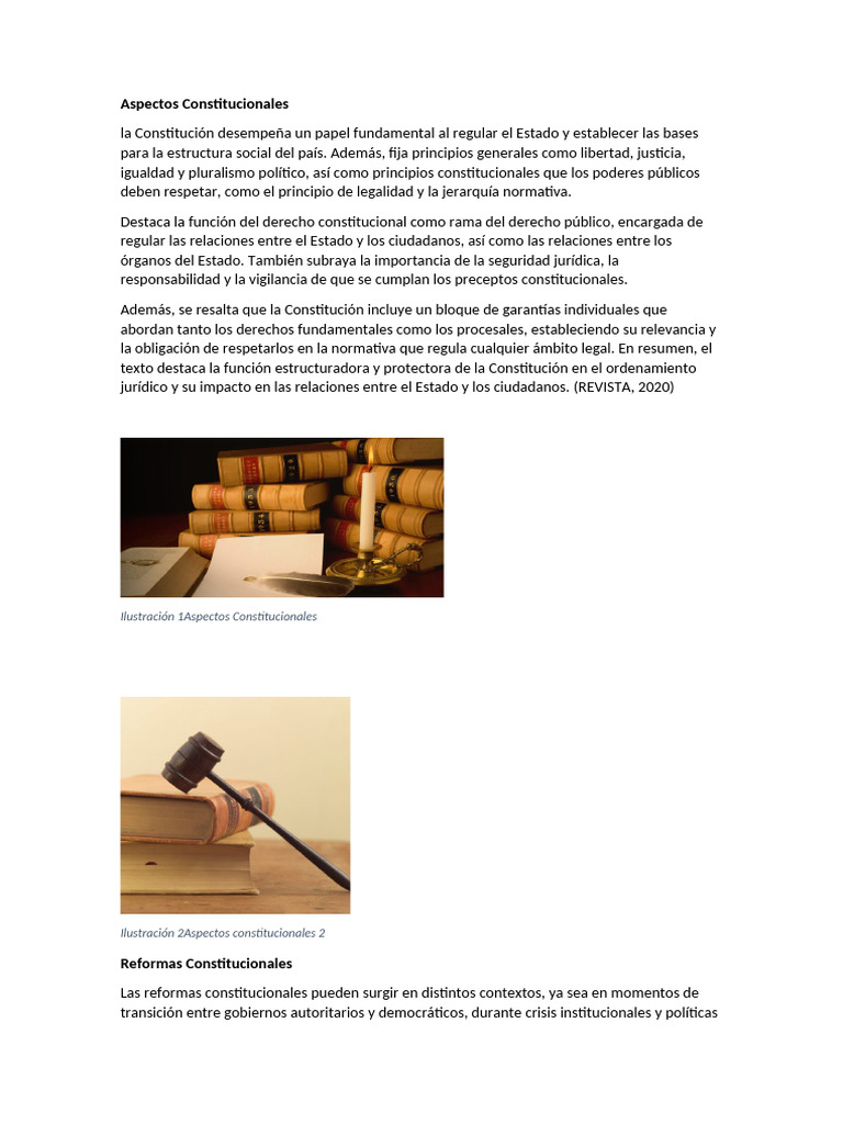 Aspectos Constitucionales | PDF