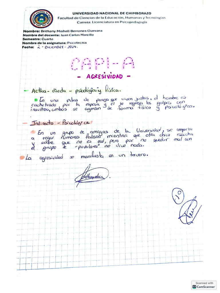 Capi A | PDF