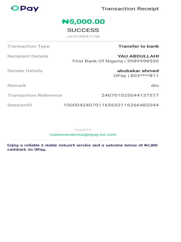 Successful OPay Transaction Receipt | PDF