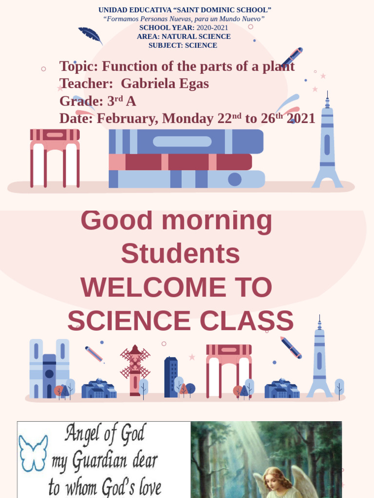 Functions of the Plants Tuesday February 23rd 2021 | PDF