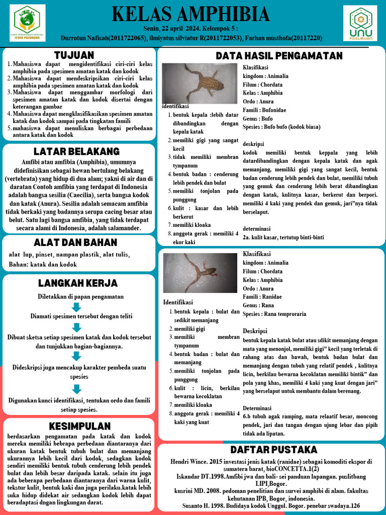Studi Perbandingan Katak dan Kodok | PDF