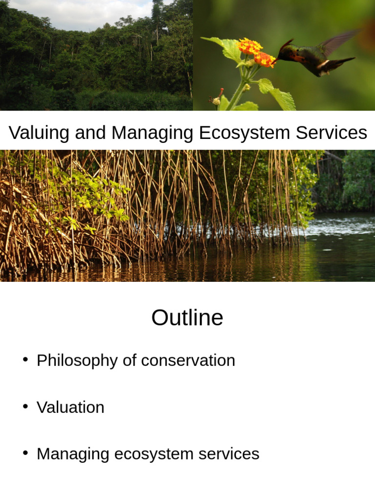 5_Valuation | PDF | Conservation Movement | John Muir