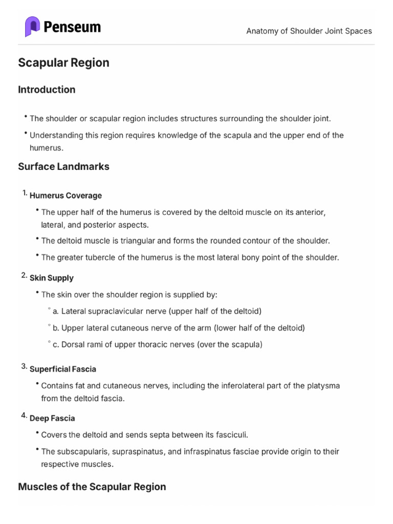 Anatomy of Shoulder Joint Spaces | PDF
