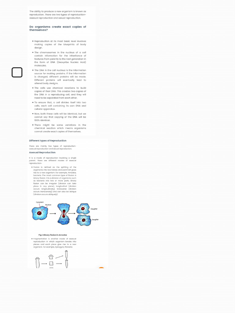 CH 8 Biology Notes | PDF