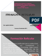 Formacion reticular