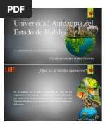Resumen del Medio Ambiente y Su Cuidado | PDF | Entorno natural ...