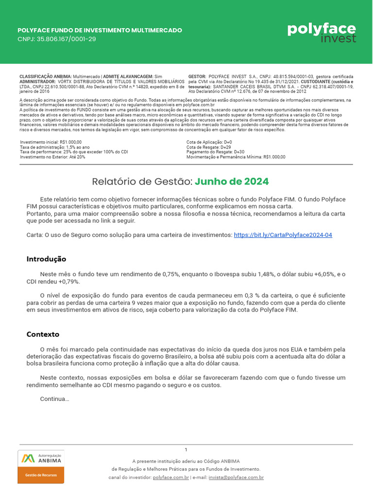 Relatório Gestão POLYFACE 2024-06 | PDF | Economias | Avaliação de risco
