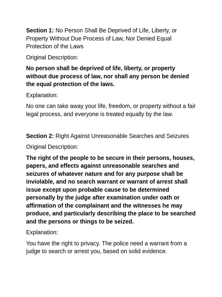 Overview of Fundamental Rights and Protections | PDF | Search And ...