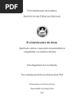  PATERNIDADES DE HOJE Significados, práticas e negociações da parentalidade na  conjugalidade e na residência alternad