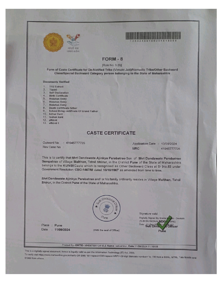 Sub Category Means In Form In Hindi