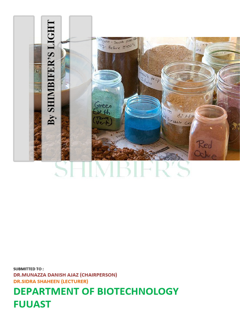 BIO PAINTS | PDF | Paint | Materials